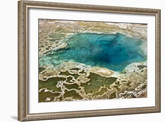 Wyoming, Artemisia Geyser-Judith Zimmerman-Framed Photographic Print