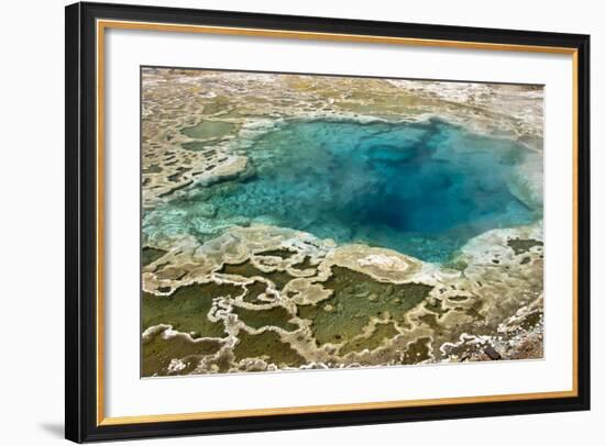 Wyoming, Artemisia Geyser-Judith Zimmerman-Framed Photographic Print