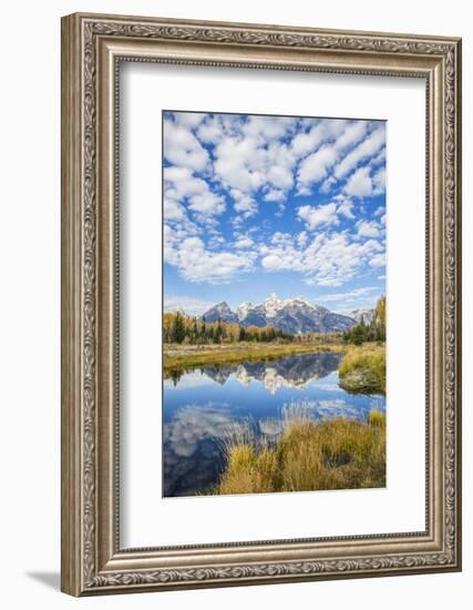 Wyoming, Autumn Color Along Snake River at Schwabacher Landing with Teton Mountains as a Backdrop-Elizabeth Boehm-Framed Photographic Print