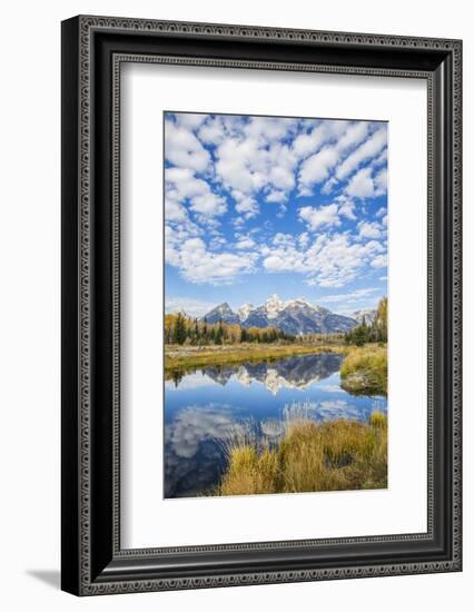 Wyoming, Autumn Color Along Snake River at Schwabacher Landing with Teton Mountains as a Backdrop-Elizabeth Boehm-Framed Photographic Print