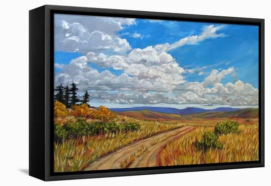 Wyoming Backroad near Vedauwoo, Wyoming-Patty Baker-Framed Stretched Canvas