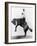 Wyoming: Cowboy, C1911-null-Framed Photographic Print