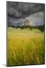 Wyoming, Devil's Tower National Monument-Judith Zimmerman-Mounted Photographic Print