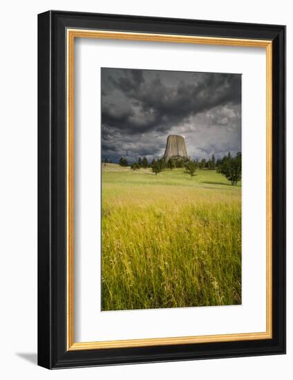 Wyoming, Devil's Tower National Monument-Judith Zimmerman-Framed Photographic Print