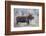 Wyoming, Grand Teton National Park, a Bull Moose Stands Along a River Bank in the Autumn-Elizabeth Boehm-Framed Photographic Print