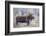 Wyoming, Grand Teton National Park, a Bull Moose Stands Along a River Bank in the Autumn-Elizabeth Boehm-Framed Photographic Print