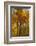 Wyoming, Grand Teton National Park. Autumn Aspen-Judith Zimmerman-Framed Photographic Print