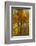 Wyoming, Grand Teton National Park. Autumn Aspen-Judith Zimmerman-Framed Photographic Print