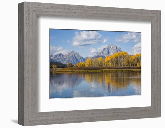 Wyoming, Grand Teton National Park, Autumn Color Along the Snake River Oxbow with Mt-Elizabeth Boehm-Framed Photographic Print