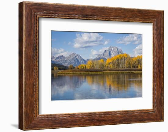 Wyoming, Grand Teton National Park, Autumn Color Along the Snake River Oxbow with Mt-Elizabeth Boehm-Framed Photographic Print