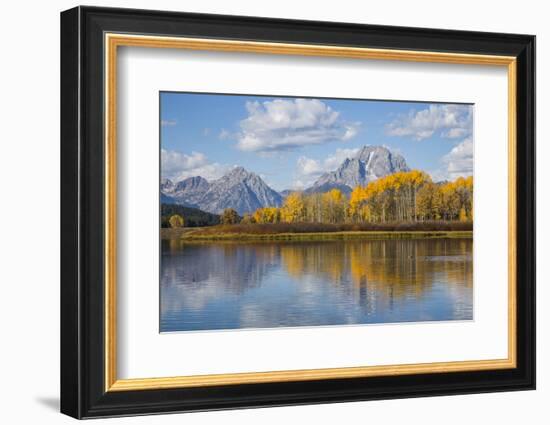 Wyoming, Grand Teton National Park, Autumn Color Along the Snake River Oxbow with Mt-Elizabeth Boehm-Framed Photographic Print