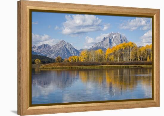 Wyoming, Grand Teton National Park, Autumn Color Along the Snake River Oxbow with Mt-Elizabeth Boehm-Framed Premier Image Canvas