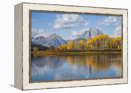 Wyoming, Grand Teton National Park, Autumn Color Along the Snake River Oxbow with Mt-Elizabeth Boehm-Framed Premier Image Canvas