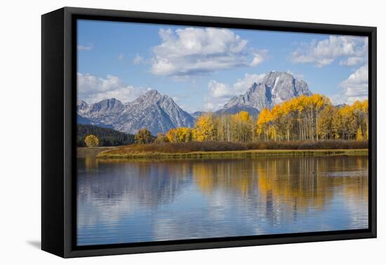 Wyoming, Grand Teton National Park, Autumn Color Along the Snake River Oxbow with Mt-Elizabeth Boehm-Framed Premier Image Canvas