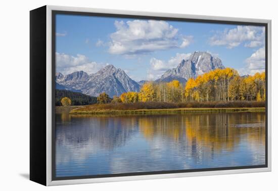 Wyoming, Grand Teton National Park, Autumn Color Along the Snake River Oxbow with Mt-Elizabeth Boehm-Framed Premier Image Canvas