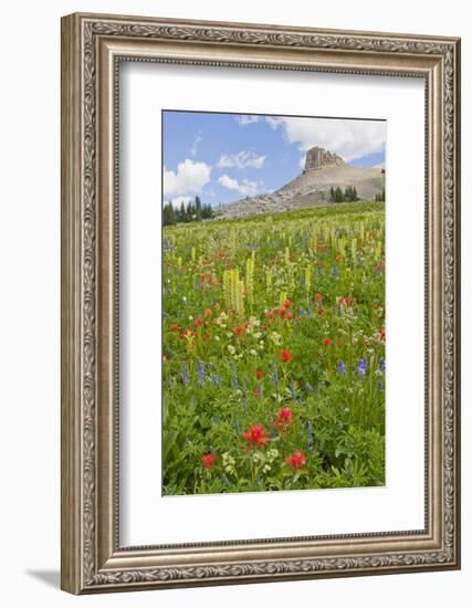 Wyoming, Grand Teton National Park, Spearhead Peak and Wildflower Meadow-Elizabeth Boehm-Framed Photographic Print