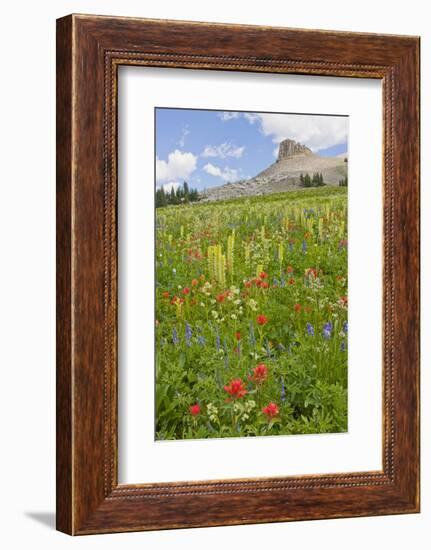 Wyoming, Grand Teton National Park, Spearhead Peak and Wildflower Meadow-Elizabeth Boehm-Framed Photographic Print