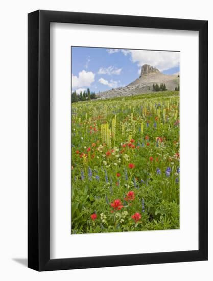 Wyoming, Grand Teton National Park, Spearhead Peak and Wildflower Meadow-Elizabeth Boehm-Framed Photographic Print
