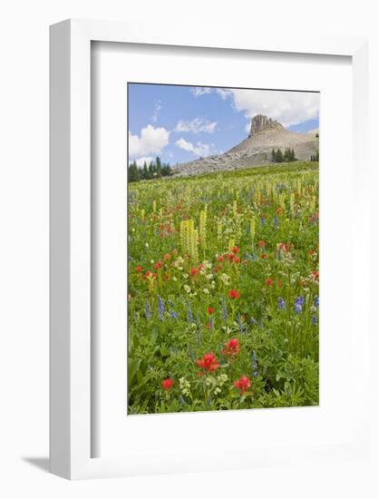 Wyoming, Grand Teton National Park, Spearhead Peak and Wildflower Meadow-Elizabeth Boehm-Framed Photographic Print