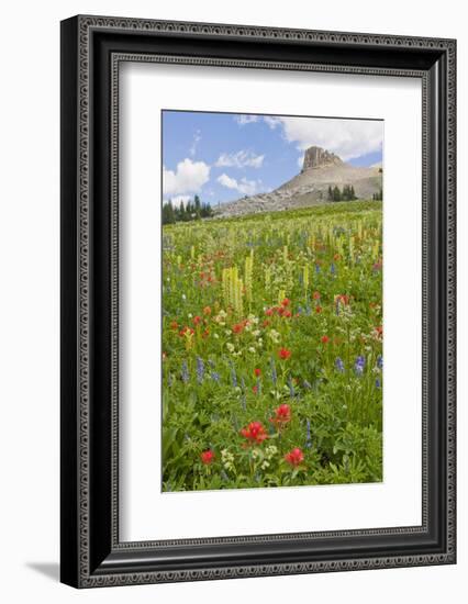 Wyoming, Grand Teton National Park, Spearhead Peak and Wildflower Meadow-Elizabeth Boehm-Framed Photographic Print