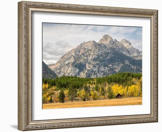 Wyoming, Grand Teton National Park. Teton Range and golden Aspen trees-Jamie and Judy Wild-Framed Photographic Print