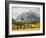 Wyoming, Grand Teton National Park. Teton Range and golden Aspen trees-Jamie and Judy Wild-Framed Photographic Print