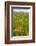 Wyoming, Grand Teton National Park, Wildflowers Along the Death Canyon Shelf-Elizabeth Boehm-Framed Photographic Print