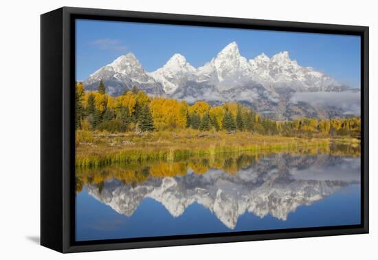 Wyoming, Grand Teton NP. Fresh snowfall covers the Grand Teton Mountains on an autumn morning-Elizabeth Boehm-Framed Premier Image Canvas