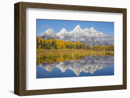 Wyoming, Grand Teton NP. Fresh snowfall covers the Grand Teton Mountains on an autumn morning-Elizabeth Boehm-Framed Photographic Print