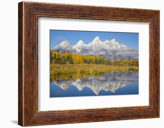 Wyoming, Grand Teton NP. Fresh snowfall covers the Grand Teton Mountains on an autumn morning-Elizabeth Boehm-Framed Photographic Print