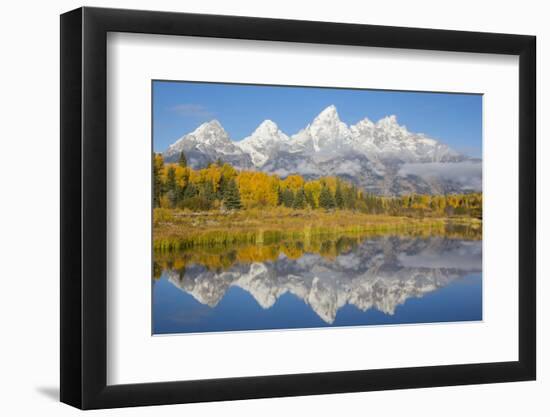 Wyoming, Grand Teton NP. Fresh snowfall covers the Grand Teton Mountains on an autumn morning-Elizabeth Boehm-Framed Photographic Print