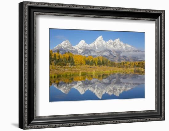 Wyoming, Grand Teton NP. Fresh snowfall covers the Grand Teton Mountains on an autumn morning-Elizabeth Boehm-Framed Photographic Print