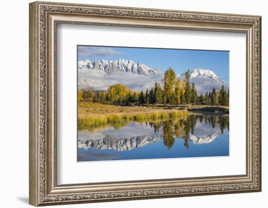 Wyoming. Grand Teton NP, Schwabacher Landing, Mt. Moran and the Teton mountains-Elizabeth Boehm-Framed Photographic Print