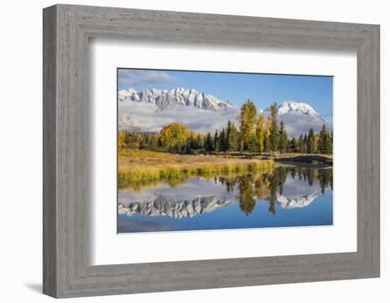 Wyoming. Grand Teton NP, Schwabacher Landing, Mt. Moran and the Teton mountains-Elizabeth Boehm-Framed Photographic Print