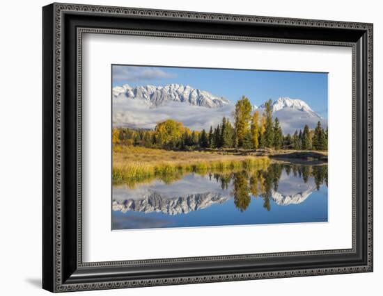 Wyoming. Grand Teton NP, Schwabacher Landing, Mt. Moran and the Teton mountains-Elizabeth Boehm-Framed Photographic Print