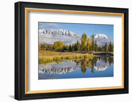 Wyoming. Grand Teton NP, Schwabacher Landing, Mt. Moran and the Teton mountains-Elizabeth Boehm-Framed Photographic Print