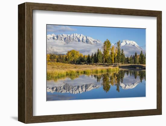 Wyoming, Grand Teton NP. Schwabacher Landing, Mt. Moran and the Teton mountains-Elizabeth Boehm-Framed Photographic Print