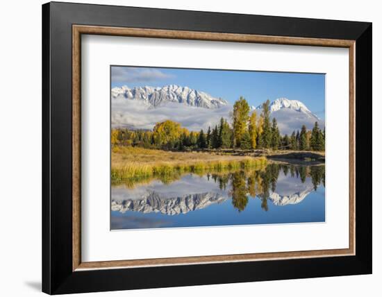 Wyoming, Grand Teton NP. Schwabacher Landing, Mt. Moran and the Teton mountains-Elizabeth Boehm-Framed Photographic Print