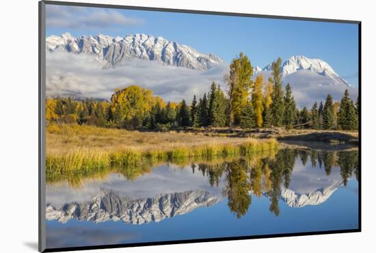 Wyoming, Grand Teton NP. Schwabacher Landing, Mt. Moran and the Teton mountains-Elizabeth Boehm-Mounted Photographic Print