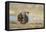 Wyoming, Greater Sage Grouse Strutting on Lek-Elizabeth Boehm-Framed Premier Image Canvas