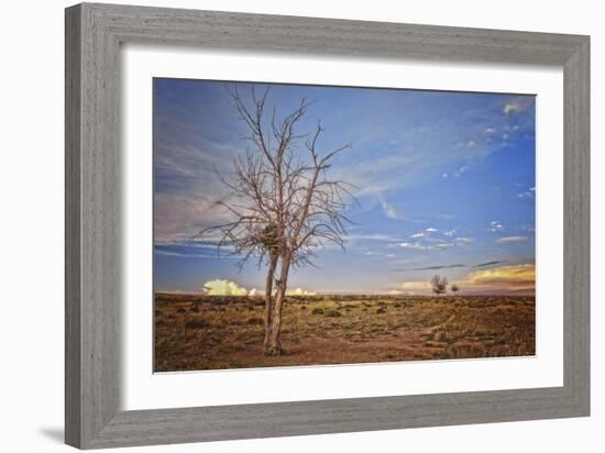 Wyoming High Desert Beauty-Amanda Lee Smith-Framed Photographic Print