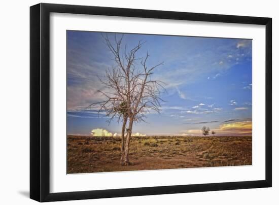 Wyoming High Desert Beauty-Amanda Lee Smith-Framed Photographic Print