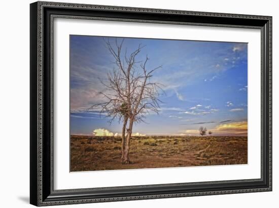 Wyoming High Desert Beauty-Amanda Lee Smith-Framed Photographic Print