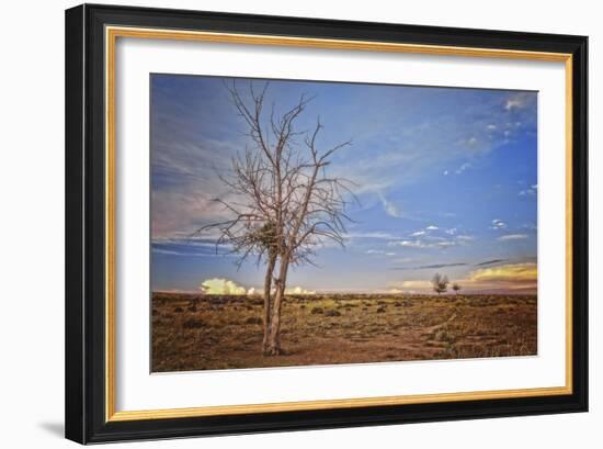 Wyoming High Desert Beauty-Amanda Lee Smith-Framed Photographic Print