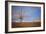 Wyoming High Desert Beauty-Amanda Lee Smith-Framed Photographic Print