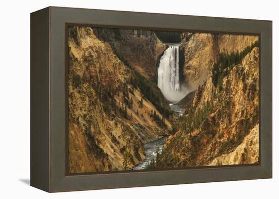 Wyoming, Lower Falls Yellowstone National Park-Patrick J. Wall-Framed Premier Image Canvas