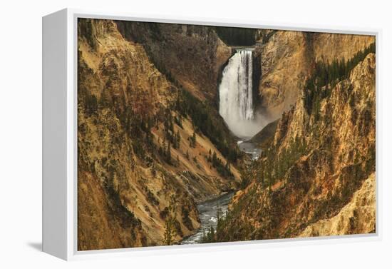 Wyoming, Lower Falls Yellowstone National Park-Patrick J. Wall-Framed Premier Image Canvas