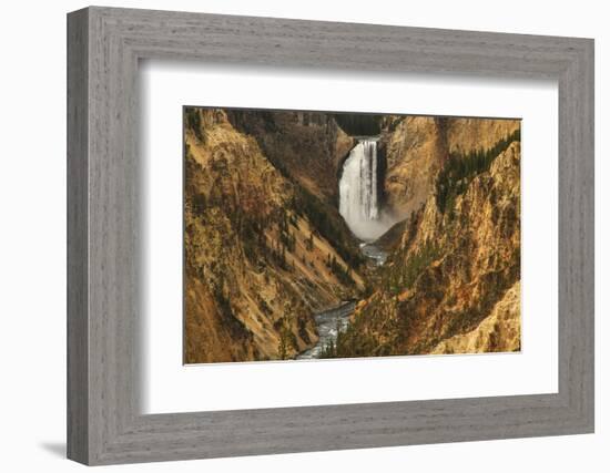 Wyoming, Lower Falls Yellowstone National Park-Patrick J. Wall-Framed Photographic Print