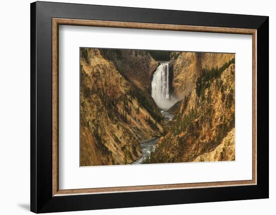 Wyoming, Lower Falls Yellowstone National Park-Patrick J. Wall-Framed Photographic Print