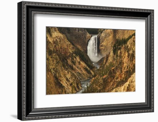Wyoming, Lower Falls Yellowstone National Park-Patrick J. Wall-Framed Photographic Print